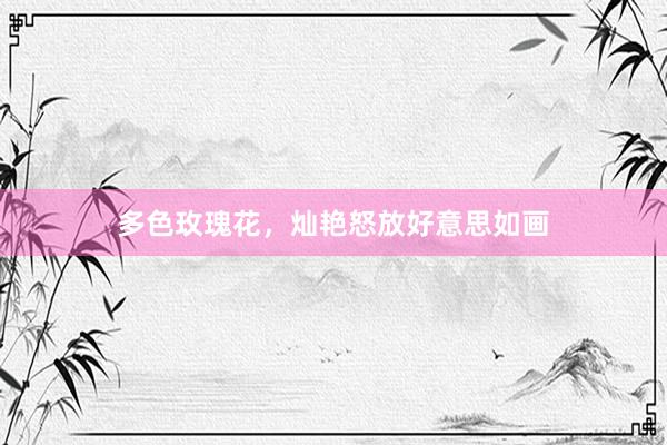 多色玫瑰花，灿艳怒放好意思如画