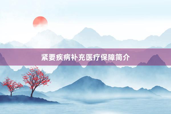 紧要疾病补充医疗保障简介