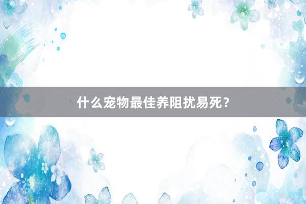 什么宠物最佳养阻扰易死？