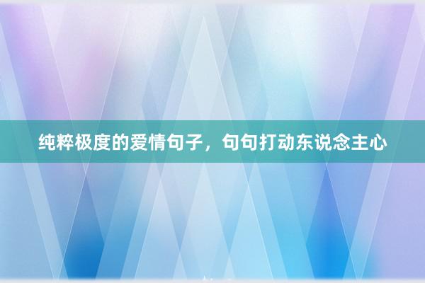 纯粹极度的爱情句子，句句打动东说念主心