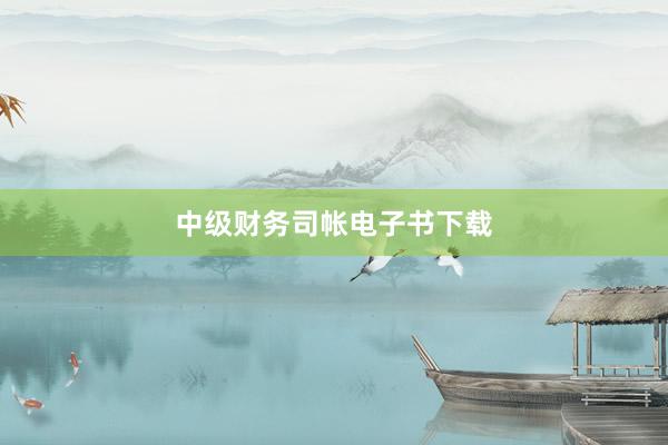 中级财务司帐电子书下载